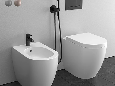 White Modern Toilet and Bidet with Black Faucet and Shower in Minimalist Bathroom Interior 3d model