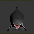 Dolphin With Open Mouth And Smooth Body On Dark Reflective Surface
