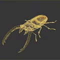 Vibrant Red And Black Beetle With Large Curved Horns On Dark Background