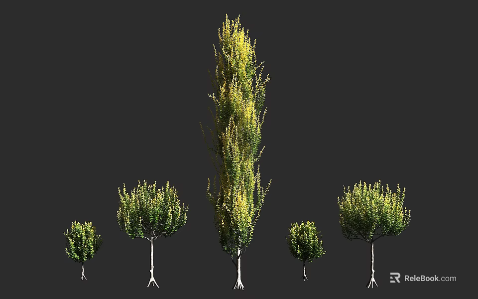 Arbor Trees In Various Sizes With Green Foliage And Natural Growth Forms 3d model 