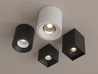 Modern Black And White Cylindrical Square Downlights And Spotlights Design 3d model