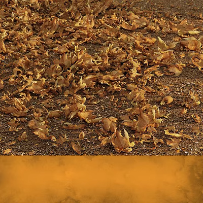 Golden Fallen Leaves Scattering Across Scenic Outdoor Ground in Autumn 3d model