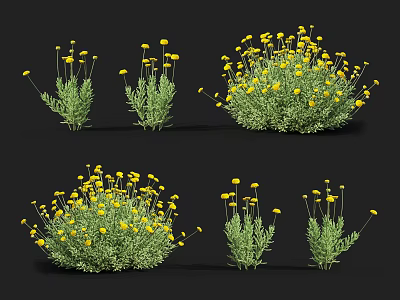 Vibrant Yellow Flowers on Green Plants Featuring Multiple Plants with Various Sizes and Shapes 3d model