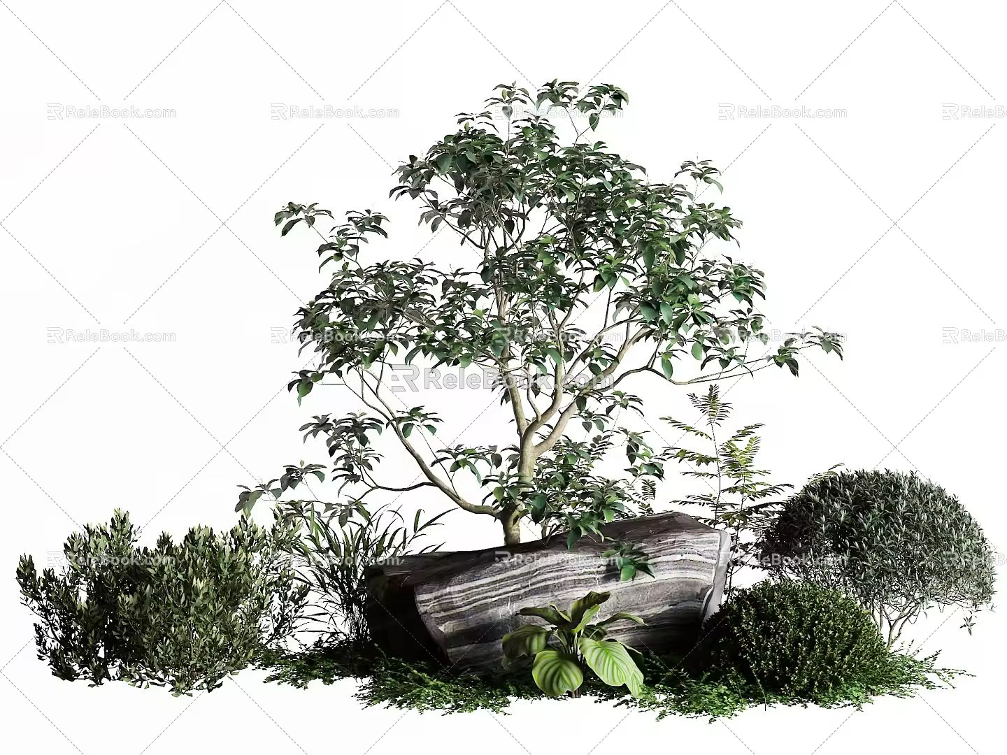 Landscape Tree Stone Shrub 3d model