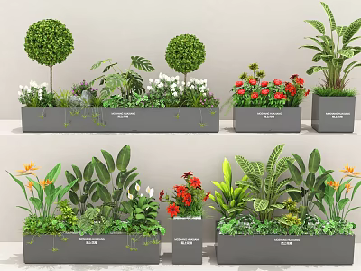 Diverse Plant Combinations In Gray Planters With Spherical Shrubs Colorful Flowers And Green Foliage 3d model
