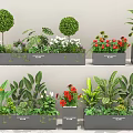 Diverse Plant Combinations In Gray Planters With Spherical Shrubs Colorful Flowers And Green Foliage