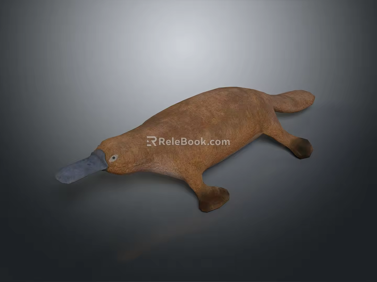 platypus red-tailed platypus leopard platypus 3d model