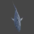 Realistic Blue Shark 3D Model With Open Mouth And Sharp Teeth