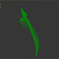 Animal Skeleton of Crocodile Like Reptile in Standing Posture on Gray Background