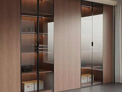 Modern Wooden Wardrobe With Glass Doors And Storage Shelves And Boxes 3d model