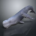 Majestic Whale Mother and Baby Calf Aquatic Animal Swimming Together