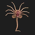 Detailed Brown Scorpion 3D Model With Segmented Body And Curved Tail