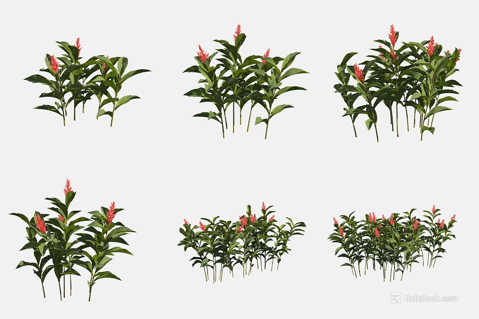 Lush Green Leafy Plants With Red Flowers In Diverse Cluster Arrangements 3d model 
