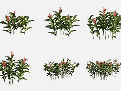 Lush Green Leafy Plants With Red Flowers In Diverse Cluster Arrangements 3d model
