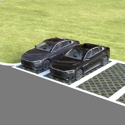 Two Black Cars Parked On Grid Patterned Paving With Green Grass Background 3d model