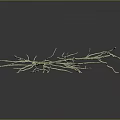 Delicate Plant Roots Structure With Thin Branches On Dark Background