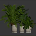 Potted Green Plants With Striped Light Colored Pots On Gray Floor Background