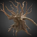 Abstract Plant With Twisted Branches And Brown Copper Color On Dark Background 3d model