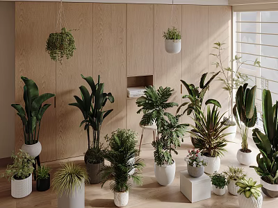 Indoor Bonsai Potted Plants with Hanging Greenery Various Sizes and White Pots Decor 3d model