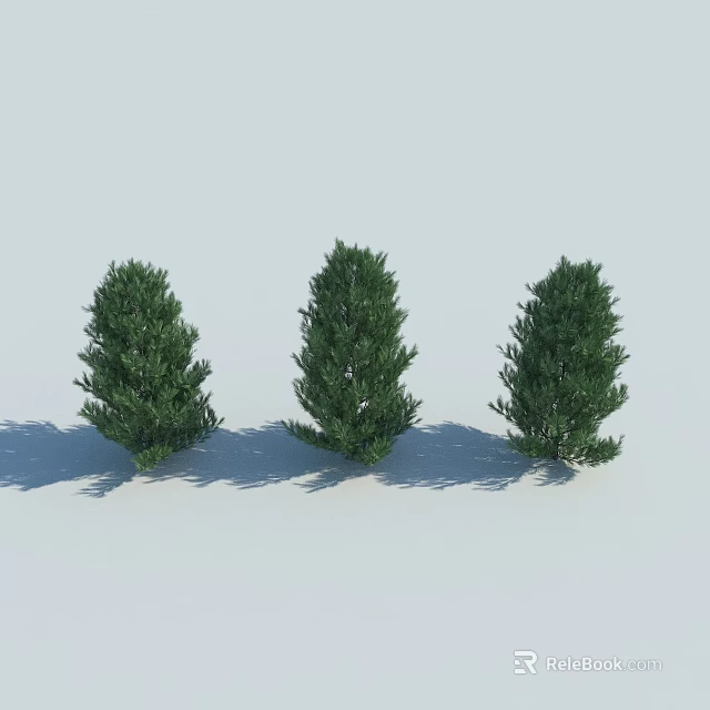 Three Green Arbor Trees Standing On White Background With Shadows 3d model 