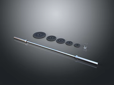 Metal Barbell With Various Weight Plates And Collar For Fitness Use 3d model