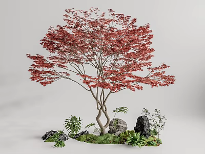 Garden Ornament Featuring Red Leaf Tree With Curved Trunk Stones And Mossy Plants 3d model