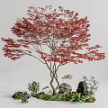 Garden Ornament Featuring Red Leaf Tree With Curved Trunk Stones And Mossy Plants