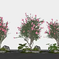 Pink Flowering Trees With Green Plants And Stones Against Gray Background Wall