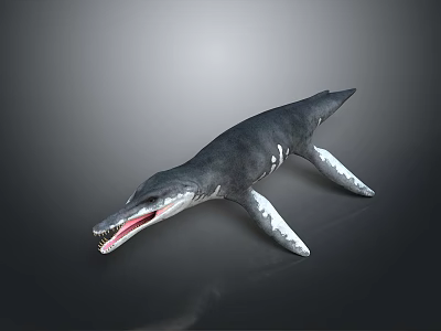 Ichthyosaur Dinosaur Model with Open Mouth Sharp Teeth Streamlined Body Gray Skin and Flipper Limbs 3d model