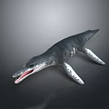 Ichthyosaur Dinosaur Model with Open Mouth Sharp Teeth Streamlined Body Gray Skin and Flipper Limbs