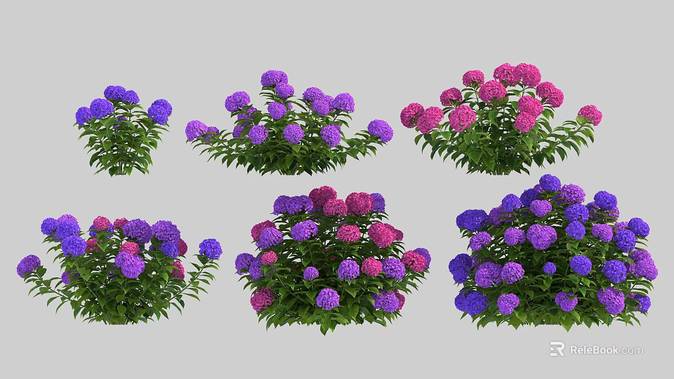 Beautiful Purple And Pink Hydrangea Flowers With Green Leaves In Various Arrangements 3d model 