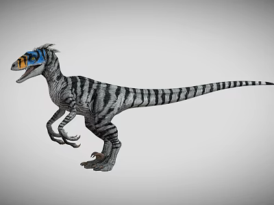 Velociraptor dinosaur Jurassic ancient animal ancient creature carnivorous dinosaur 3d model