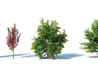 Vibrant Leafy Shrubs with Red and Green Foliage for Garden Landscaping 3d model