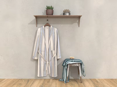 Striped Robe Hanging On Hanger With Wooden Shelf Potted Plant And Stool With Blanket 3d model