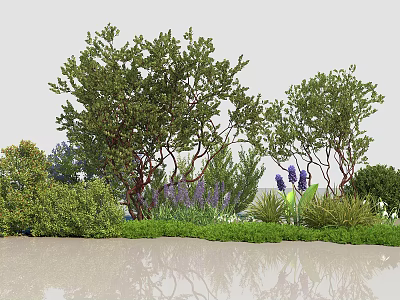 Diverse Shrub Varieties In Garden Landscaping With Purple Flowers And Green Foliage 3d model