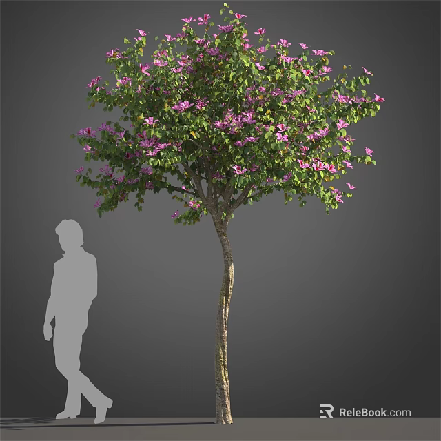 Lush Arbor With Green Foliage And Purple Flowers Beside Human Silhouette 3d model 