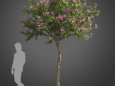 Lush Arbor With Green Foliage And Purple Flowers Beside Human Silhouette 3d model