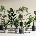 Modern Indoor Potted Plants With Various Leafy Green Species And Stylish Ceramic Metal Planters
