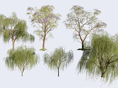 Diverse Ornamental Trees Including Willow and Purple Flowering Varieties for Landscaping 3d model