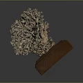 Intricate Handcrafted Coral Shaped Sculpture Carving Display On Wooden Base