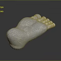 Realistic Human Foot Organ 3D Render With Textured White Surface And Reflective Dark Background