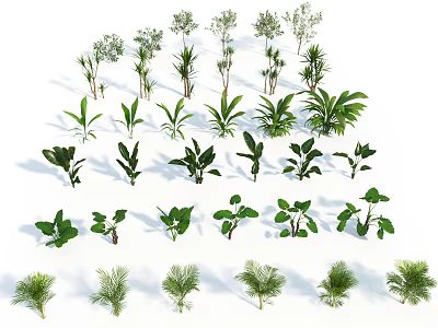 Diverse Collection of Green Plants and Flowering Herbs in Various Shapes and Sizes 3d model