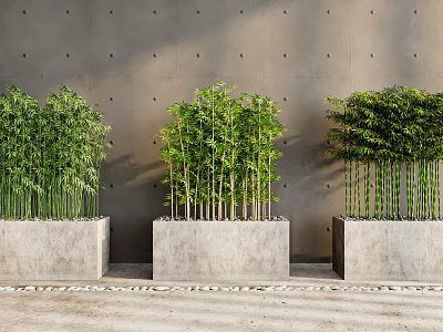 Bamboo Plants in Concrete Planters Against Gray Dotted Wall and Stone Slab Floor 3d model