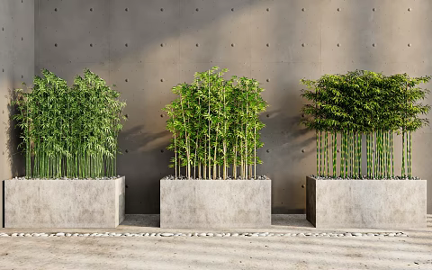 Bamboo Forest Landscape Bamboo Garden Forest Bamboo 3d model