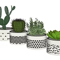 Bonsai Potted Plants With White Ceramic Pots And Black Geometric Patterns