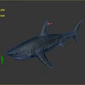 Realistic 3D Model Of Large Shark With Small Human Figure Against Gray Background