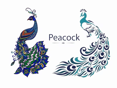 Ornate Peacock Art And Peacock Silhouette Design 3d model