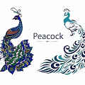 Ornate Peacock Art And Peacock Silhouette Design
