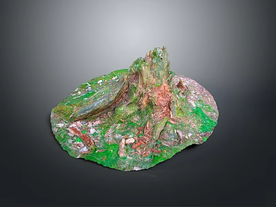 Natural Scenic Landscape With Tree Stump And Green Moss Texture Details 3d model