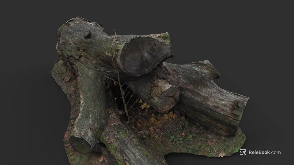 Cut Tree Trunks With Visible Rings Surrounded By Fallen Leaves And Small Branches 3d model